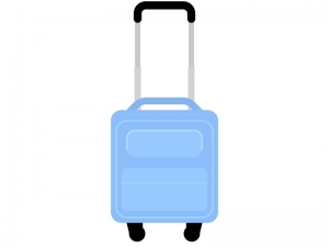 dispose suitcase